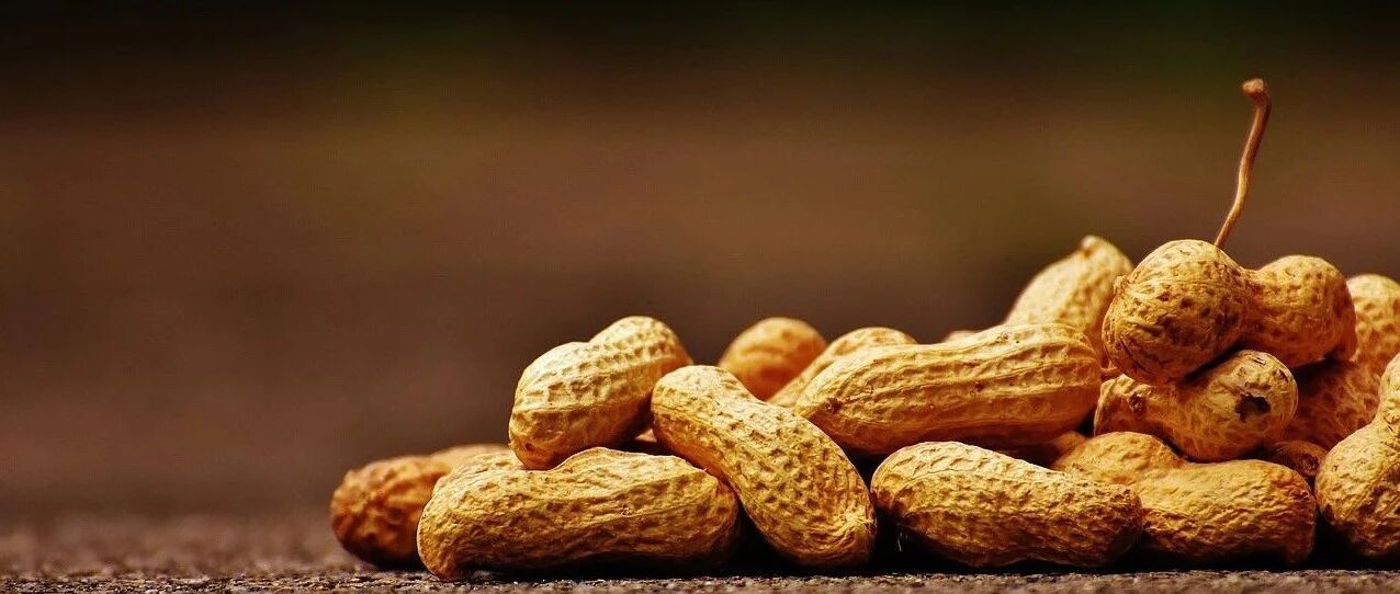 一文了解：食物中的最强致肝癌毒物——黄曲霉毒素