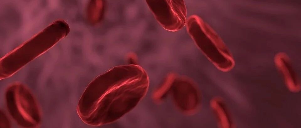 高分综述：详解门静脉血栓形成 | 温故知新