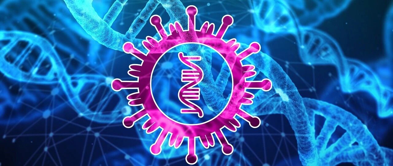 HBV基因多样性的临床影响｜深度综述