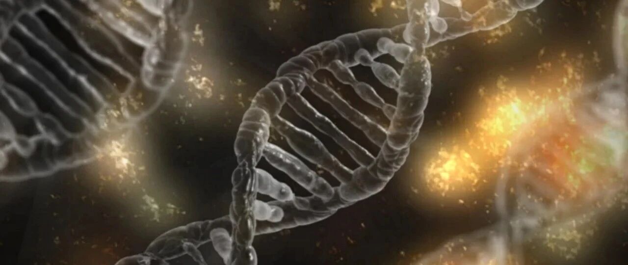 高分综述：隐匿性HBV感染