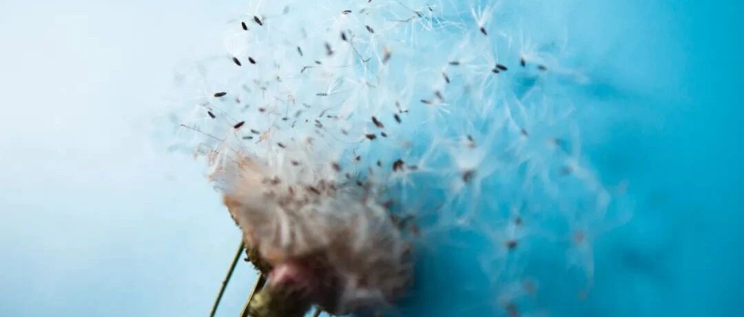 一文详解：肝硬化顽固性腹水