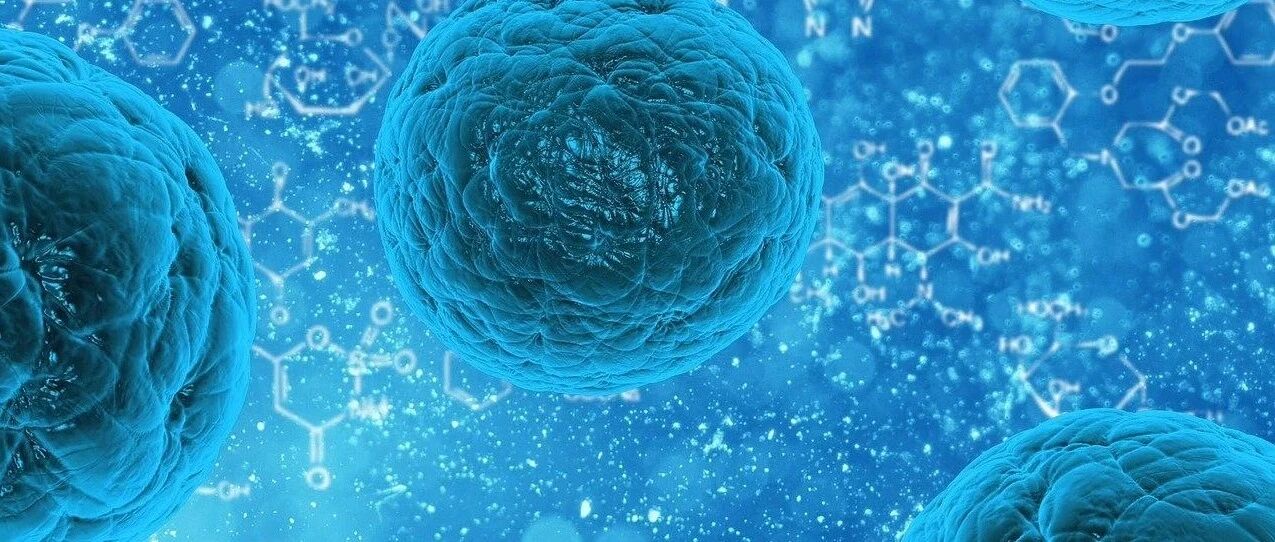 甲型、乙型和丙型之外的病毒性肝炎：诊断与治疗 | 临床必备