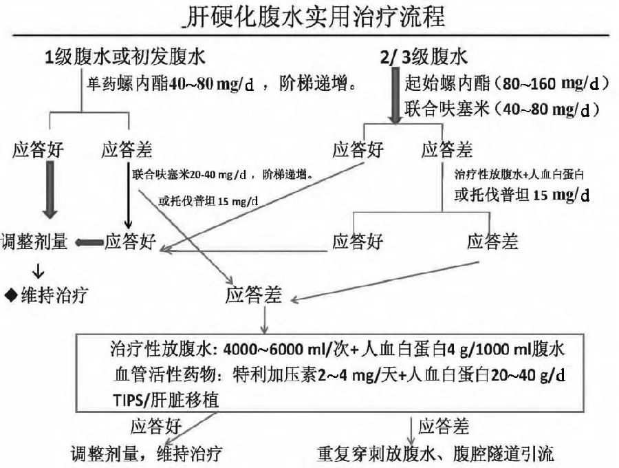 辛绍杰:肝硬化腹水及相关并发症的诊疗指南 