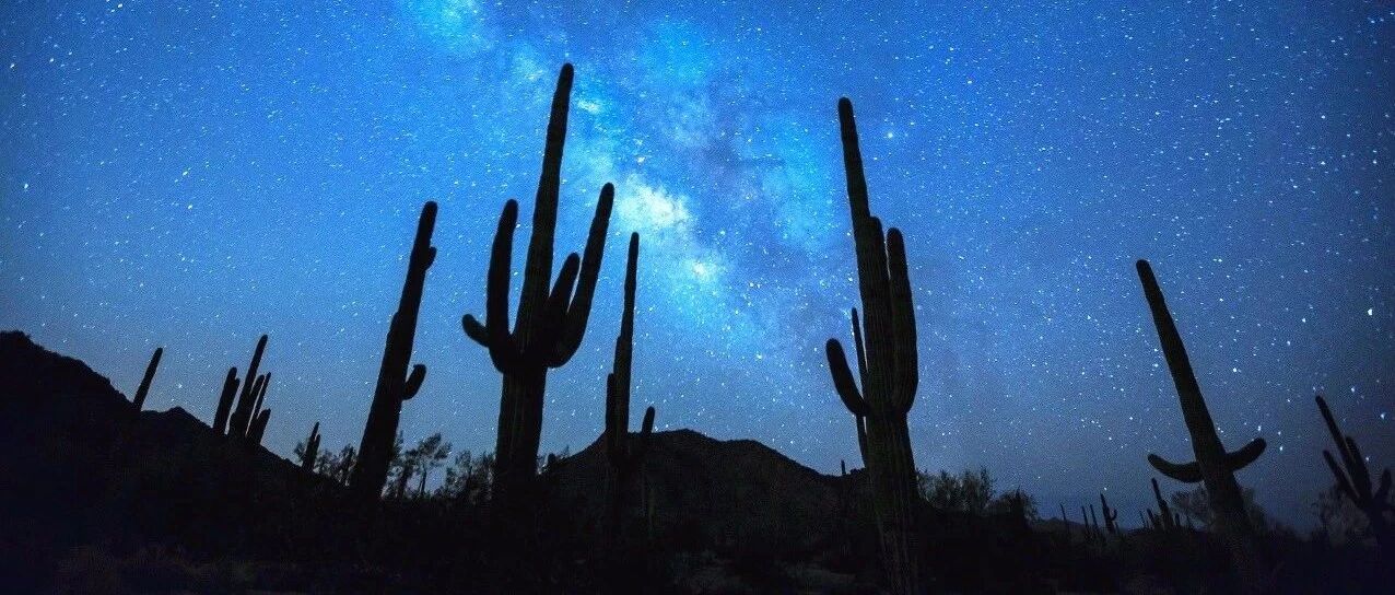 一图概述：肝细胞癌的预防措施