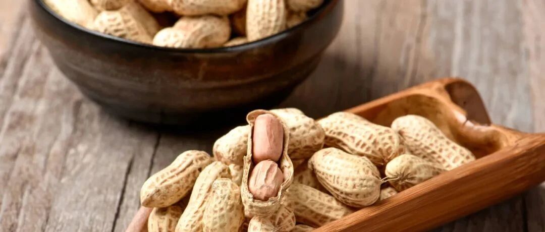 食物中的最强致肝癌毒物——黄曲霉毒素