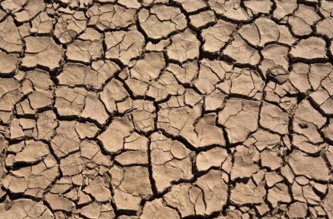 光热治疗仪有什么作用眼睛干涩怎么办？福建协和眼科再添干眼治疗利器——最新一代科医人M22强脉冲光治疗仪_https://www.jmylbn.com_新闻资讯_第3张