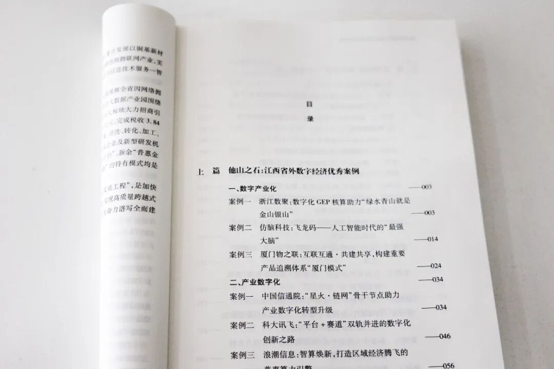 数聚股份，GEP，BI，数据分析，数据治理