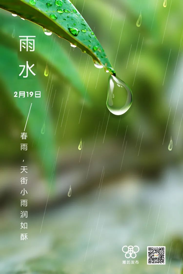 早安春雨图片图片