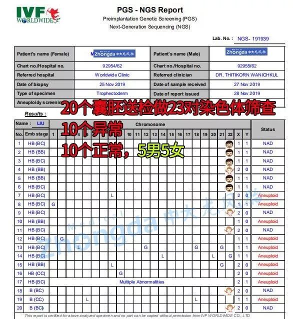 试管染色体检查结果解读_染色体试管_9号染色体倒位必须做试管吗