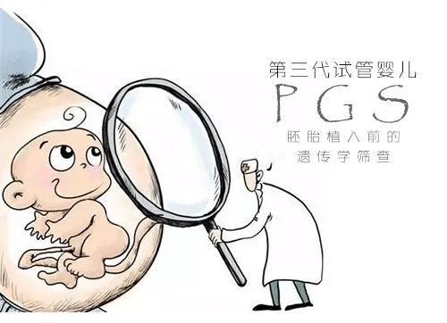 9号染色体倒位必须做试管吗_试管染色体检查结果解读_染色体试管