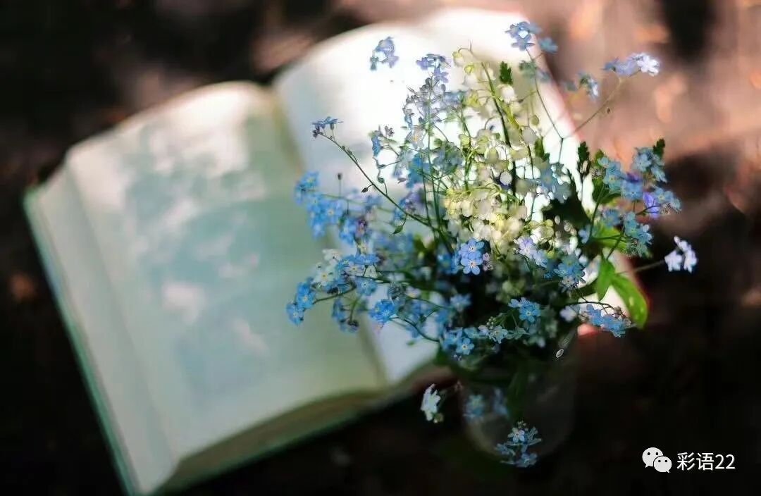 药到病除的中药