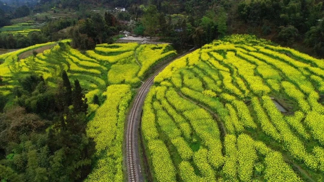 火车过隧道 数学_小火车过隧道_火车过隧道穿越