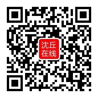 沉丘法院：审理陈某中等17起网络诈骗案