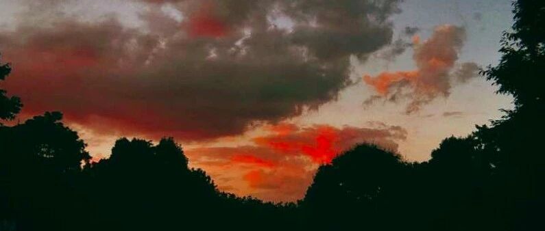 夜思 | 颜如晶开店月亏10万：以为钱好赚，是年轻人最大的错觉