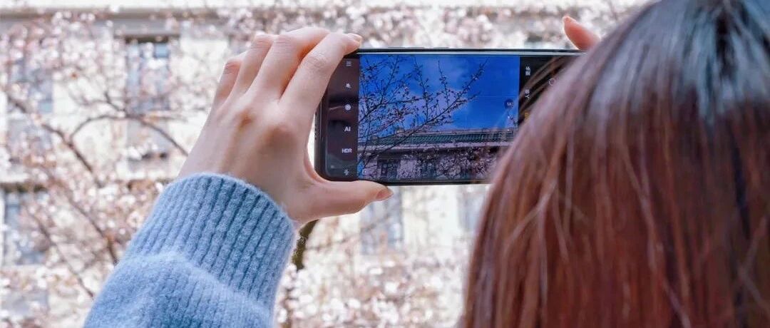 武大不开放赏樱，这里有花花花花花花花......