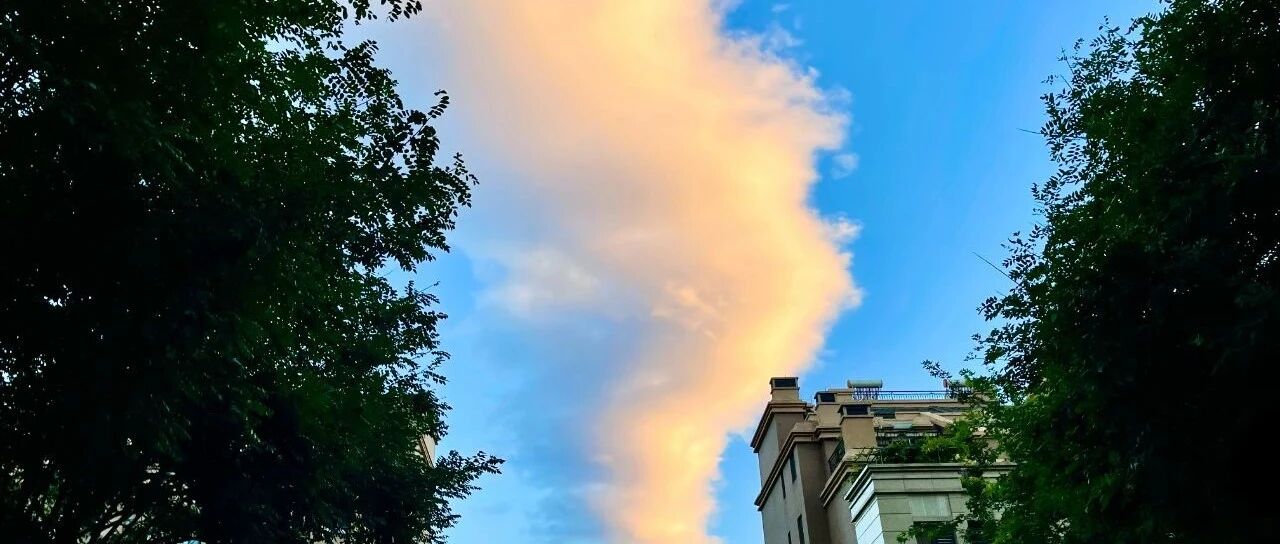 夜思 | 满篇废话？大家的笑点是越来越奇怪了