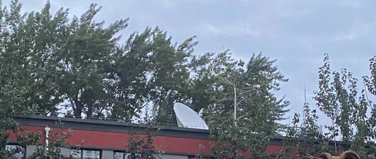 夜思 | 父母子女之间，爱也要拘礼