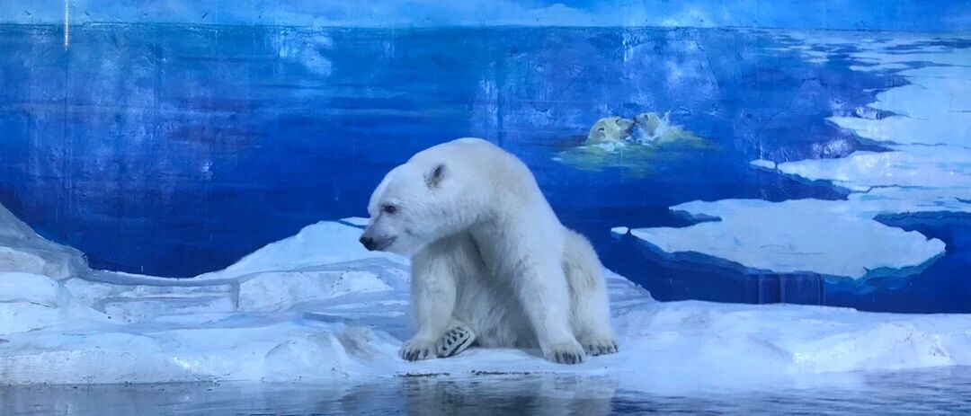 夜思 | 57岁母亲“怒”生二胎：年轻人为什么想丁克？答案扎心