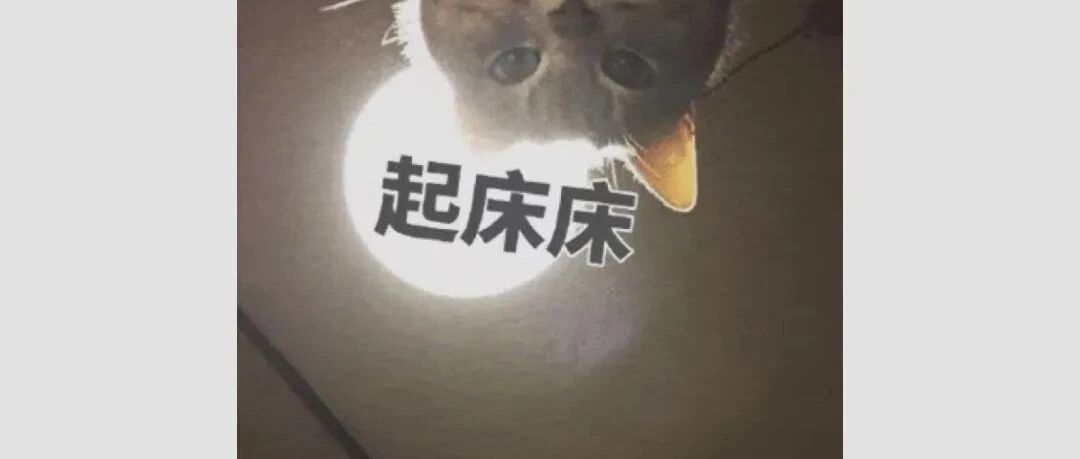 高校又曝学生大数据！最高是“229”，有奖励！