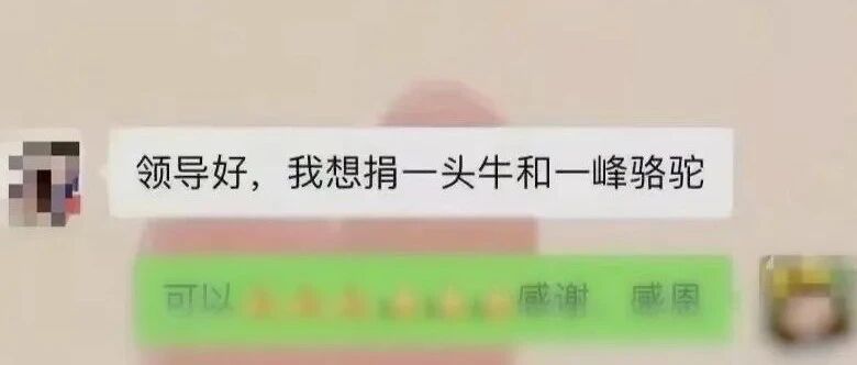 近万旅客滞留额济纳，有牧民直接捐骆驼……