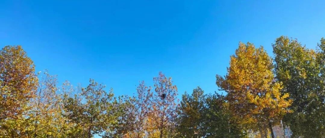 夜思 | 这篇博士论文致谢走红：感谢博一与我结婚的妻子