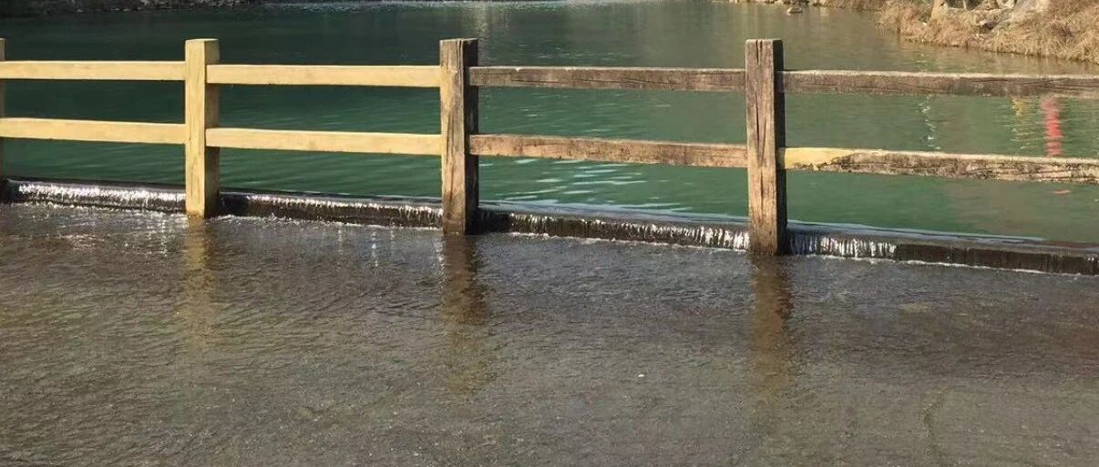 夜思 | 民警偶然拍下的视频，曝光了一个婚姻秘密……