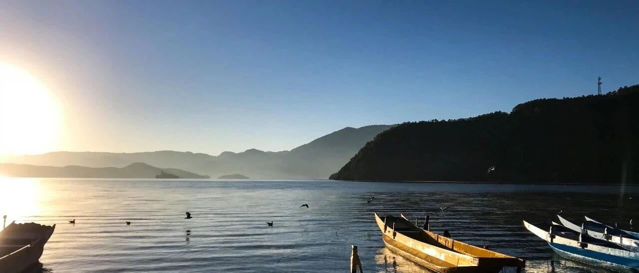 夜思 | 逃离舒适圈真的对吗