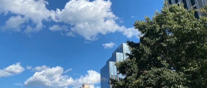 夜思 | 你还放不下“高考光环”吗？