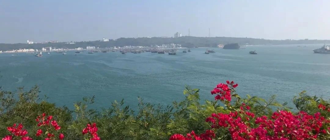 夜思 | 为什么说天津的精髓全在天津人？