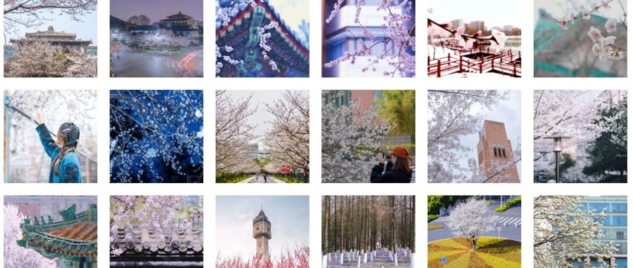 高校花大PK，最美的是......