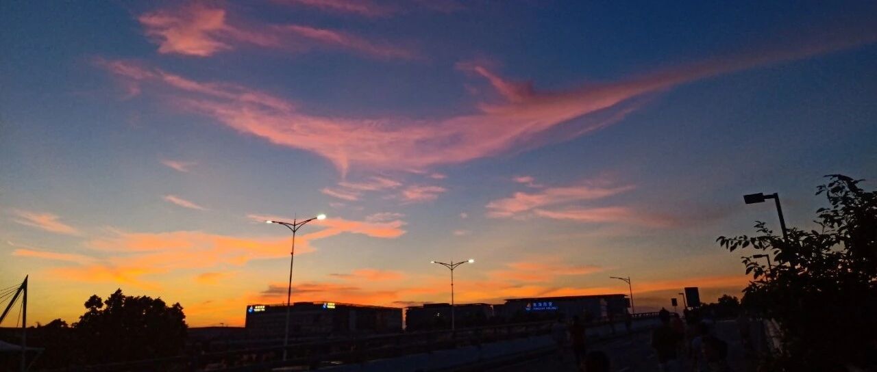 夜思 | 两校研究生同日被撤销学位：学习和生活，哪一个更苦？