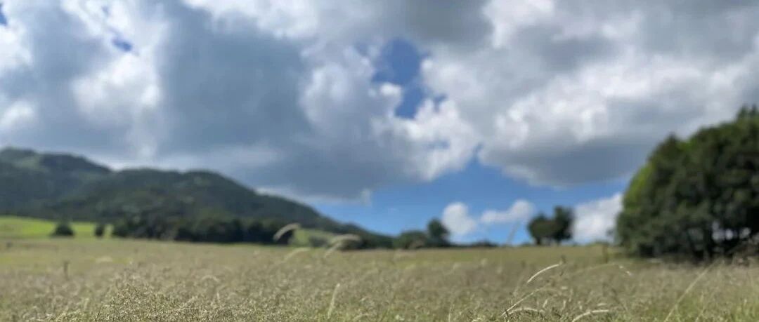 夜思 | 为什么我不建议你嫁一个“有担当”的男人？