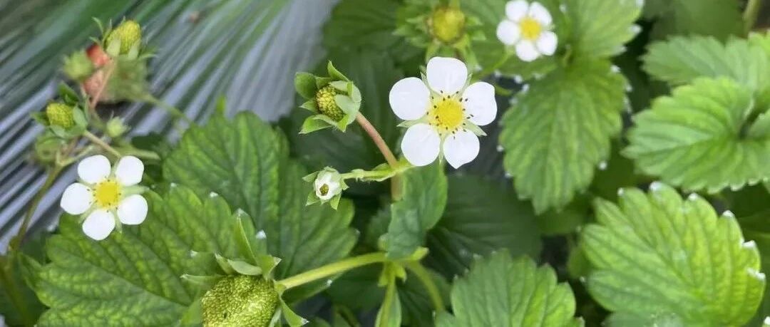 夜思 | 北大保安和清华保洁上热搜：跟谁在一起，真的不一样