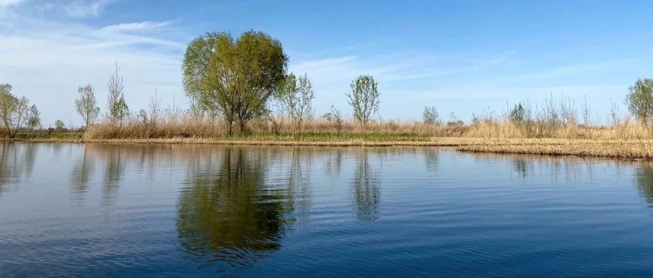 夜思|恐婚的年轻人，正掉入“幸福的陷阱”