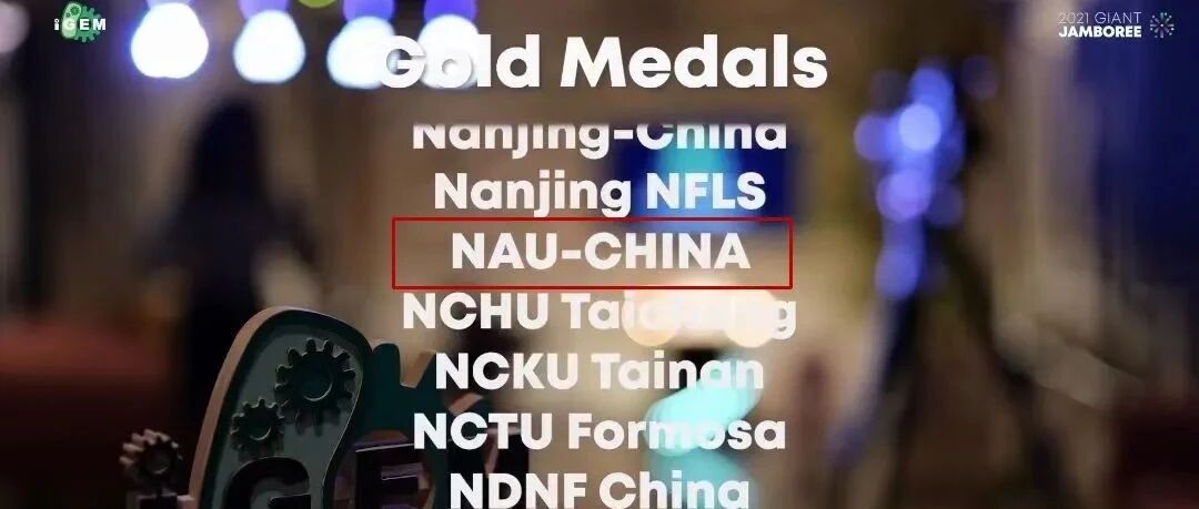 多所中国高校夺金！这项研究亮了