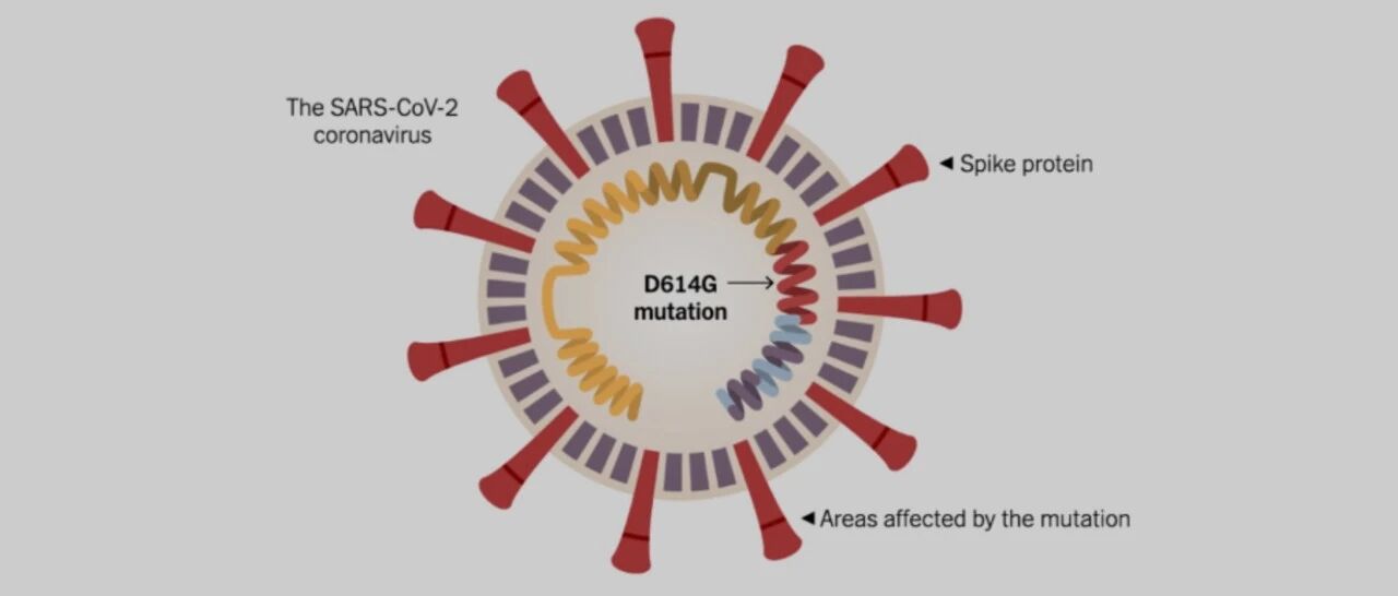 新冠病毒已变异毒性更强？张文宏发博了