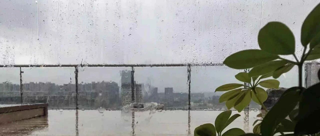 夜思 | 吉娜怀孕照引热议：一味点赞“小蛮腰”才可怕