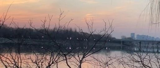 夜思 | 一对学霸父母的自省：是我们的鼓励，把孩子逼上绝路