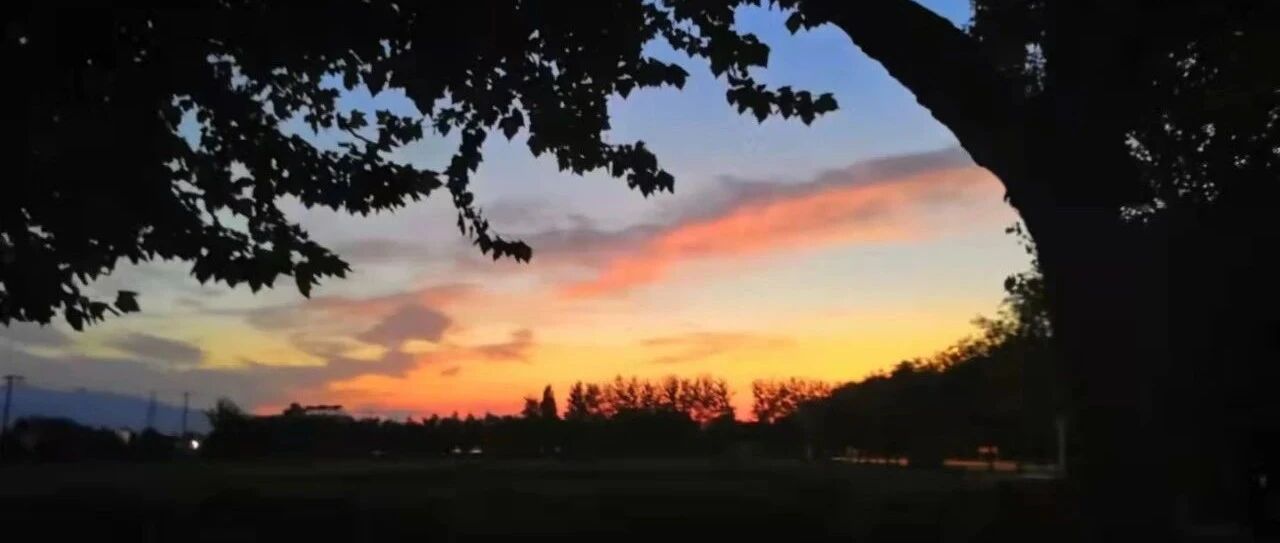 夜思｜被18公斤的邢益凡感动，不仅因为他立志成为霍金