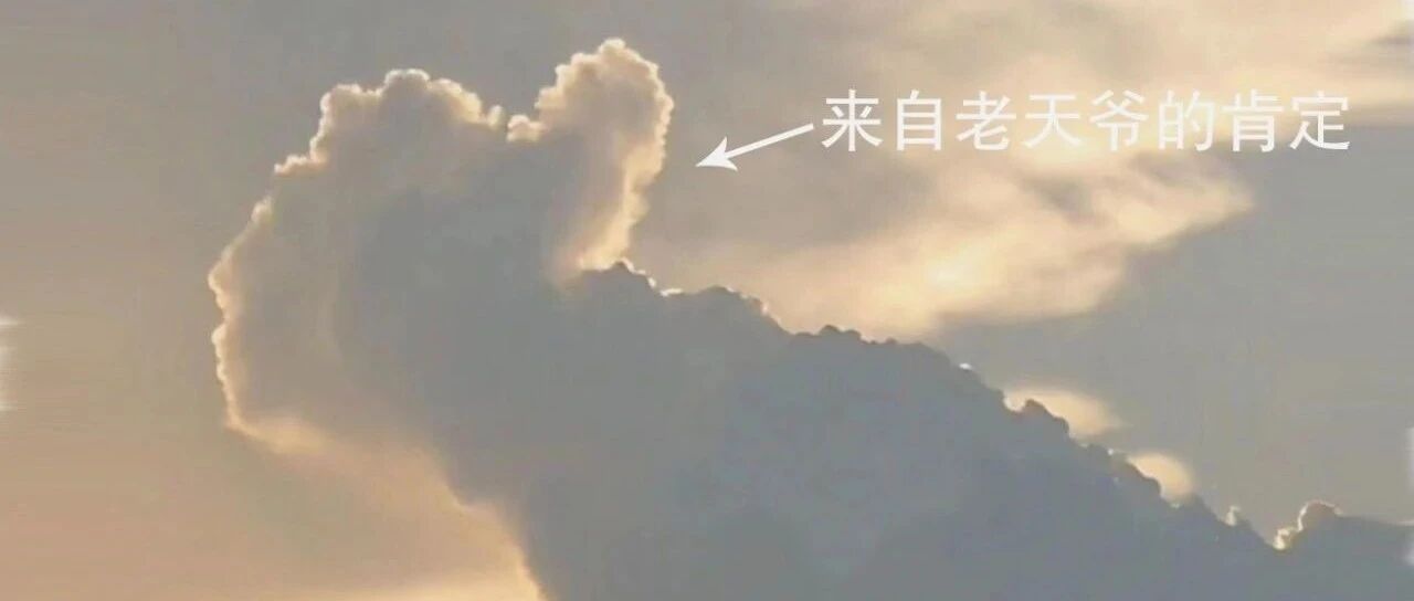 年薪百万！这所高校一名本科生入选“天才少年”