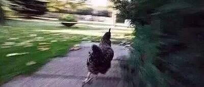 教育部通知：“错峰”放寒假！山东已有高校宣布提前放假…