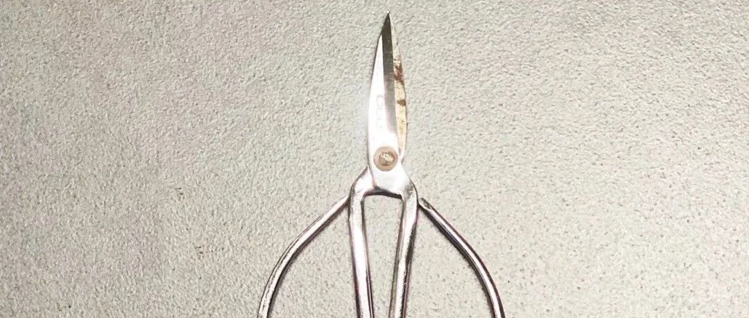 今天，有把枕头下放了好多年的剪刀，在这展出……