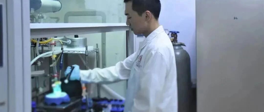 一路逆袭！他读博后3年发2篇Nature，创造校史