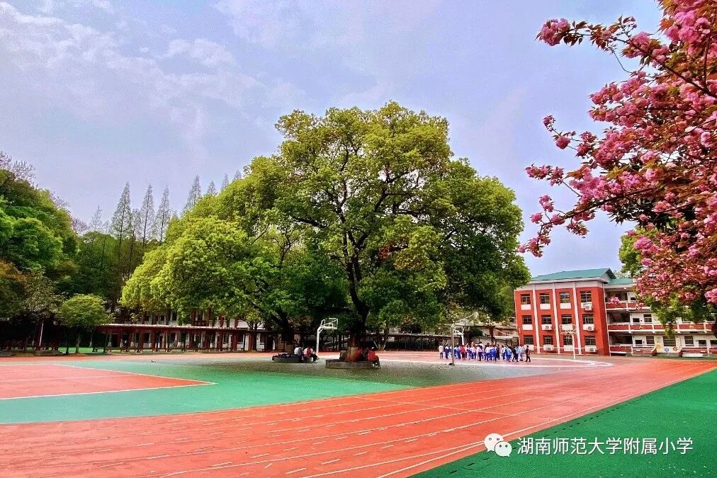 湖南师范大学附属小学教师招聘公告(第二轮)