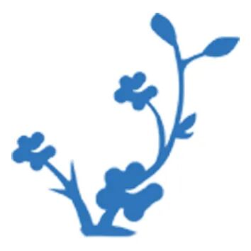 真实经历分享：法学生防秃生发指南