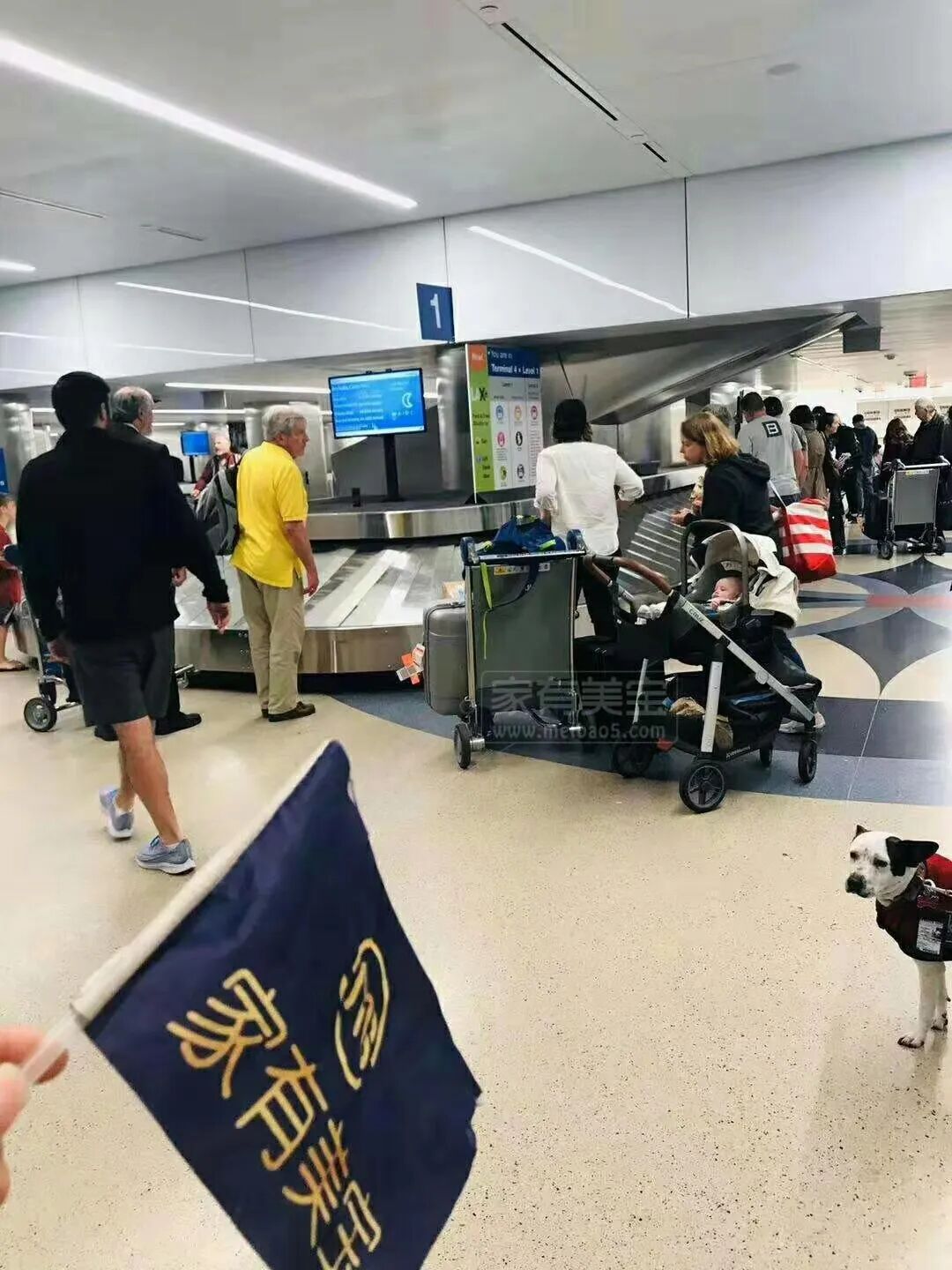 到美国生子优势_去美国生孩子有什么条件_去美国生孩子父母会得绿吗