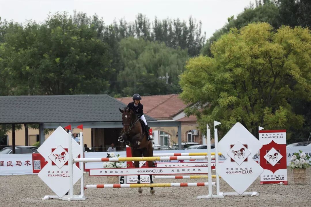 2018.8.22赛事战报丨2018“新浪杯”未来之星马术大赛总决赛圆满落幕 1026.png
