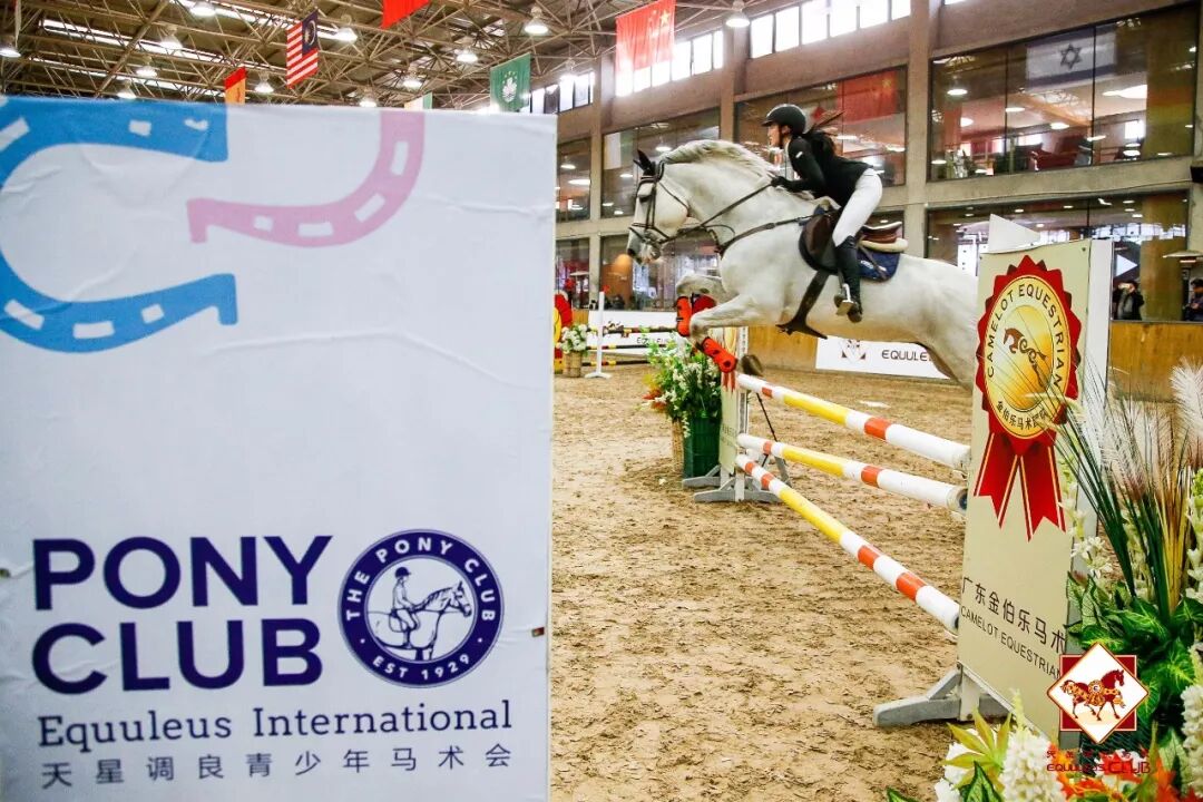 2019.1.20 贺岁杯战报丨“你要心怀无限的可能性，然后低下头坚持训练！”4044_1.png