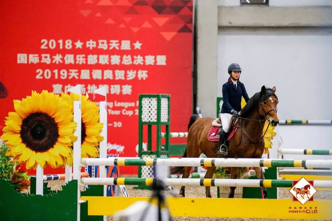 2019.1.20 贺岁杯战报丨“你要心怀无限的可能性，然后低下头坚持训练！”1232_1.png