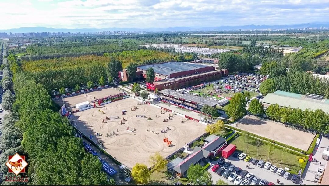 2019.1.20 趣味赛集锦丨彩虹色的人马接力——变装游戏High翻天！4754_1.png